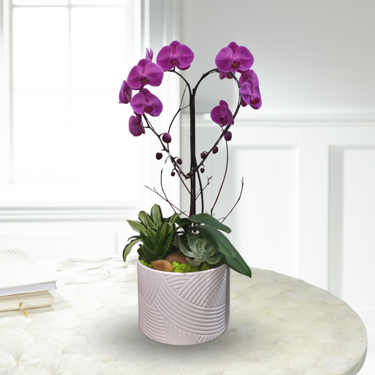 Purple Orchid Heart Planter